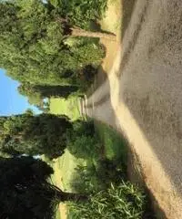 Villa in Vendita a Imola Villa in Vendita a Imola