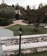 V000889 - Soiano del lago