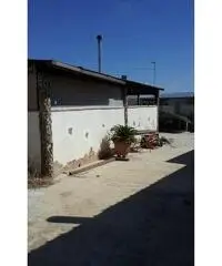V000794 - Casa singola a Selargius V000794 - Casa singola a Selargius