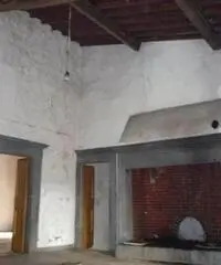 COLONICHE - COLONICA - FIRENZE