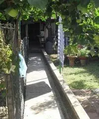 Terratetto in vendita a Empoli 120 mq  Rif: 315763 Terratetto in vendita a Empoli 120 mq  Rif: 315763