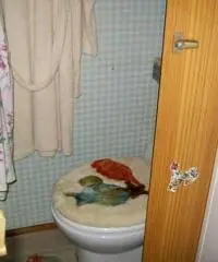 Svendo Roulotte con Pre-Ingresso e servizi per sei a 70 MT.dal mare. Svendo Roulotte con Pre-Ingresso e servizi per sei a 70 MT.dal mare.