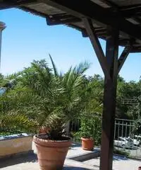 APPARTAMENTI VARIE MISURE 100 MT DAL MARE