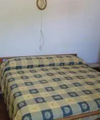 Borgo a Mozzano: Casa indipendente Altro