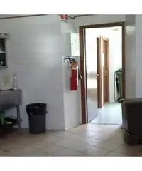 Pizzeria dasporto Pizzeria dasporto