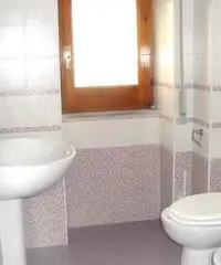 Appartamento in Affitto a 350