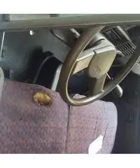 Camion fiat ducato max 2.5