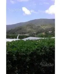 ELNAGH iiii immatricolata 1996 colore bianco panna ELNAGH iiii immatricolata 1996 colore bianco panna