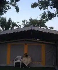 VERANDA,  COPRIVERANDA E COPRI  ROULOTTE MT. 4,35- 4,50 MT