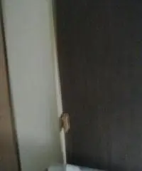 Roulotte Raphael 202 3 posti