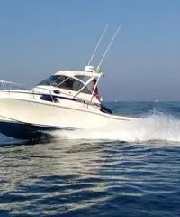 7mari F25  7mari F25