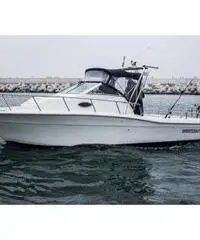 Sport Craft Boats Fishmaster 252 WA