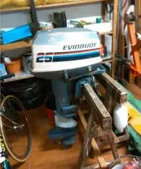 evinrude 25cv come pezzi di ricambio