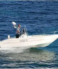 Mingolla Brava 16 Nuovo Mingolla Brava 16 Nuovo