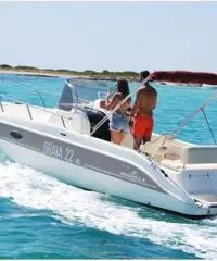 Mingolla Brava 22 Walkaround