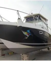 Barca blue moon 25 Barca blue moon 25