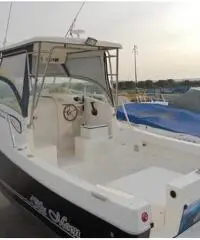 Barca blue moon 25