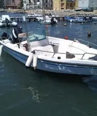 FISHERMAN SAVER 540 CON 70CV 4 TEMPI INIEZIONE