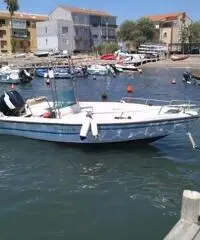 FISHERMAN SAVER 540 CON 70CV 4 TEMPI INIEZIONE