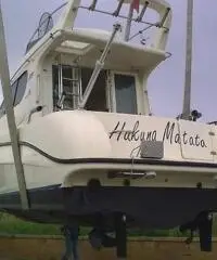 barca a motore INTERMARE 800 FLY anno 1998 lunghezza mt 9 barca a motore INTERMARE 800 FLY anno 1998 lunghezza mt 9