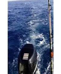 Barca Fiart Open 5,60 mt