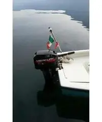 Motore fuoribordo Motore fuoribordo