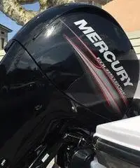 Tullio Abbate Sea Star Open'21 -Mercury 150 cv anno 2015