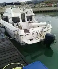 Barca bayliner affare