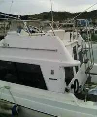 Barca bayliner affare