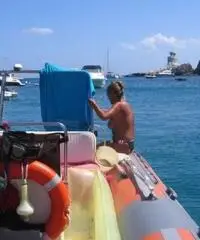 gommone Nuova Jolly RIDER 600 anno 1984 lunghezza mt 6 gommone Nuova Jolly RIDER 600 anno 1984 lunghezza mt 6