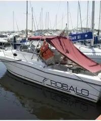 Robalo 2660 veramente perfette condizioni, dotazione nautica infinita