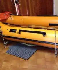 Vendo tender 320 + evinrude 9,9 2t Vendo tender 320 + evinrude 9,9 2t