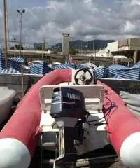 Gommone Young 430 Gommone Young 430