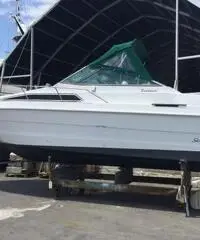Sea Ray 25 Sundacer prezzo ribassato Sea Ray 25 Sundacer prezzo ribassato