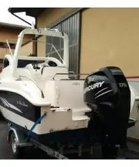 Mercury 175 4 tempi Mercury 175 4 tempi