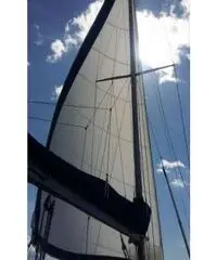 Mousse99 Plastivela vero affare