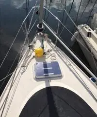 Alpa 21