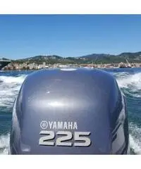 Joker clubman 24