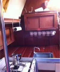 Vendesi Nicholson 345 del 1979 Vendesi Nicholson 345 del 1979