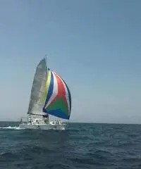 Catamarano 33