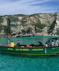 NOLEGGIO BARCHE NOLEGGIO BARCHE