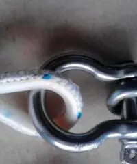 ANCORA  A FUNGO ANCORA  A FUNGO