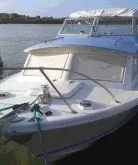 barca a motore BERTRAM 25 cabin express anno 1965 lunghezza mt 8 barca a motore BERTRAM 25 cabin express anno 1965 lunghezza mt 8