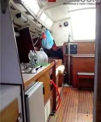 barca a vela SHOW 29 BARBERIS - 1975 - 13 hp Volvo