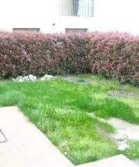 Villa a Pistoia Villa a Pistoia