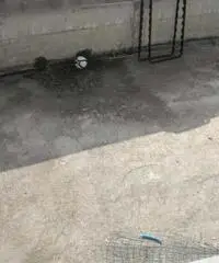 Villa in Vendita di 275mq