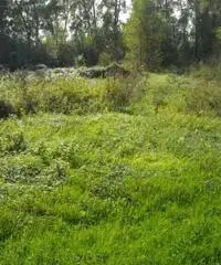 Villa Altro in Vendita Villa Altro in Vendita