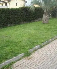 Monsummano Terme: Casa indipendente Altro Monsummano Terme: Casa indipendente Altro