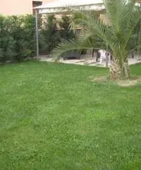 Monsummano Terme: Casa indipendente Altro Monsummano Terme: Casa indipendente Altro