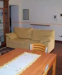 Appartamento di 3 locali in Affitto Appartamento di 3 locali in Affitto